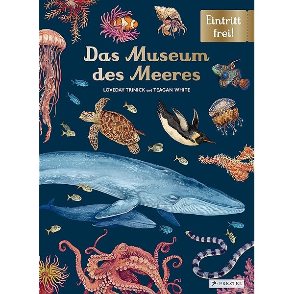 Das Museum des Meeres